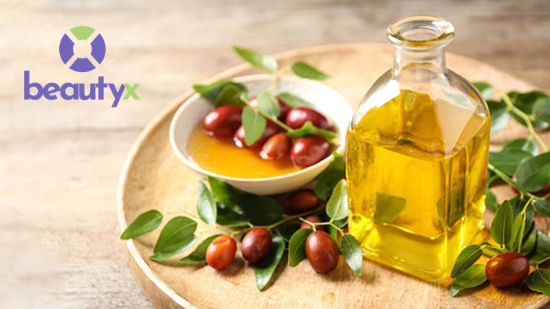 Tinh dầu jojoba hỗ trợ ngăn ngừa và điều trị bệnh da liễu