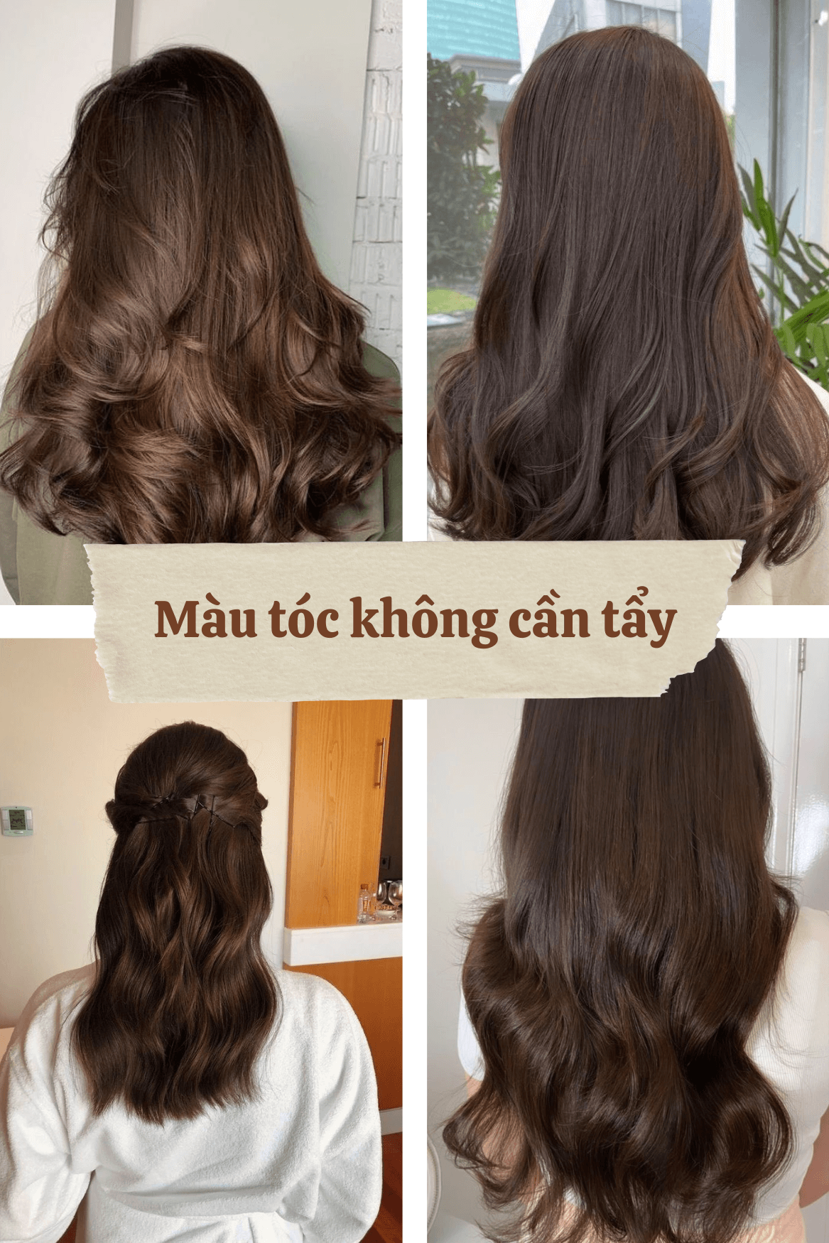 Màu tóc không cần tẩy nâu hạt dẻ