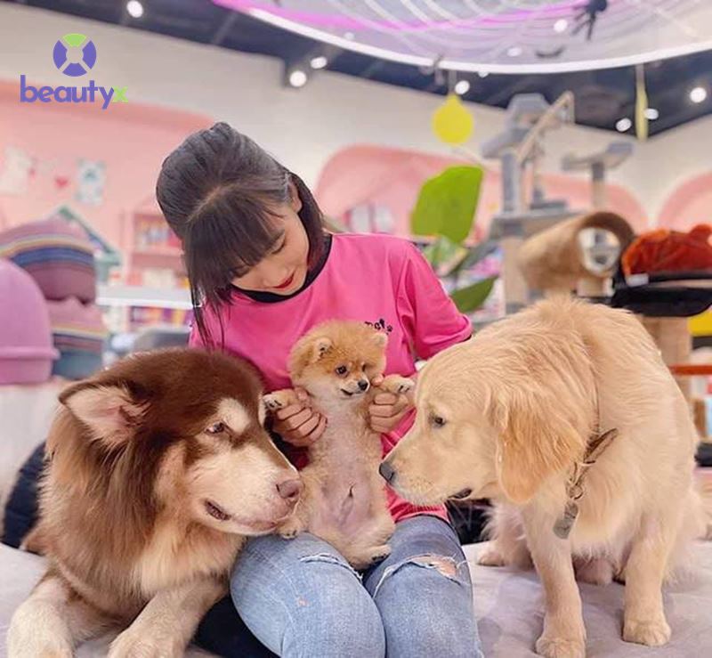 MẬT PET FAMILY