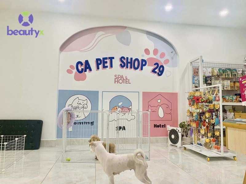 CA PET SHOP